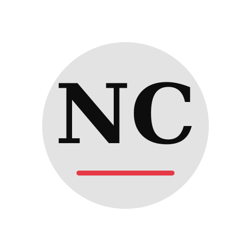 Nancy Chimney Services logo